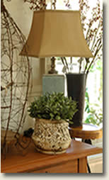 Home Graphic