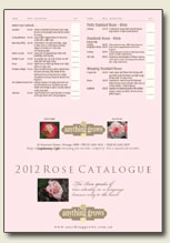 rose catalogue