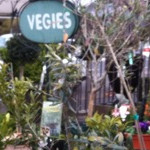 vegies